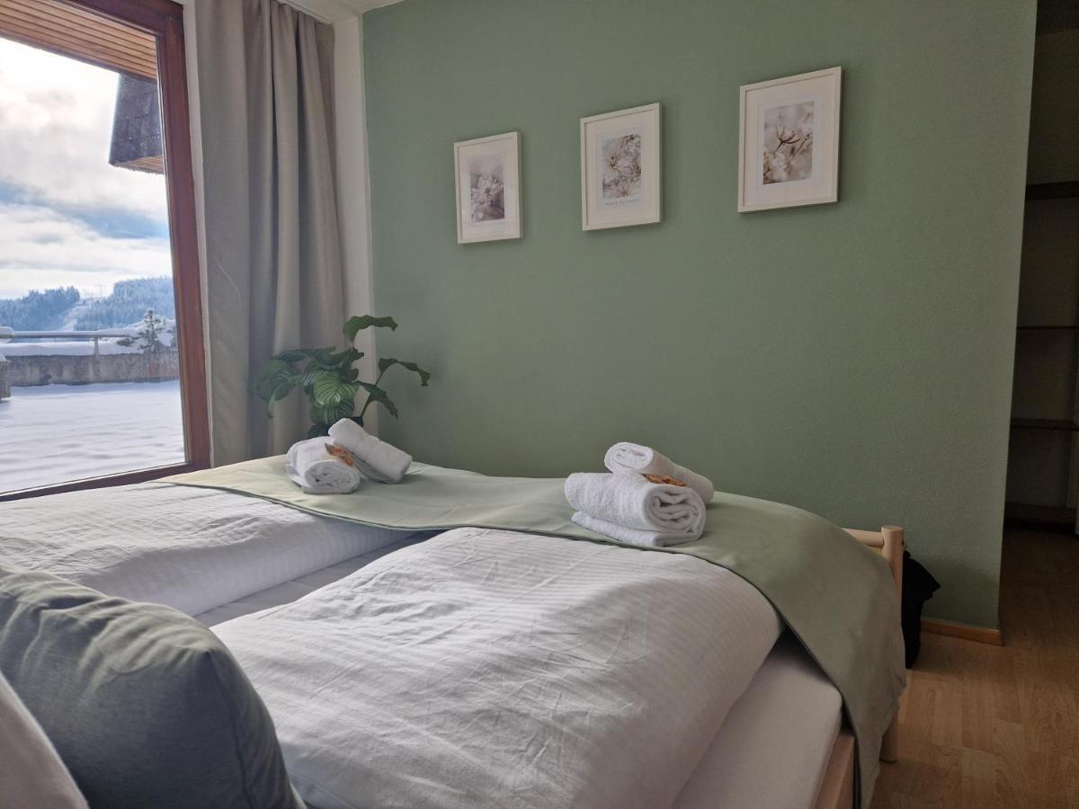 Grosse Terrasse, Netflix, 5Min Zum Skilift, 6 Personen, Waldnah, Schonach im Schwarzwald Bagian luar foto